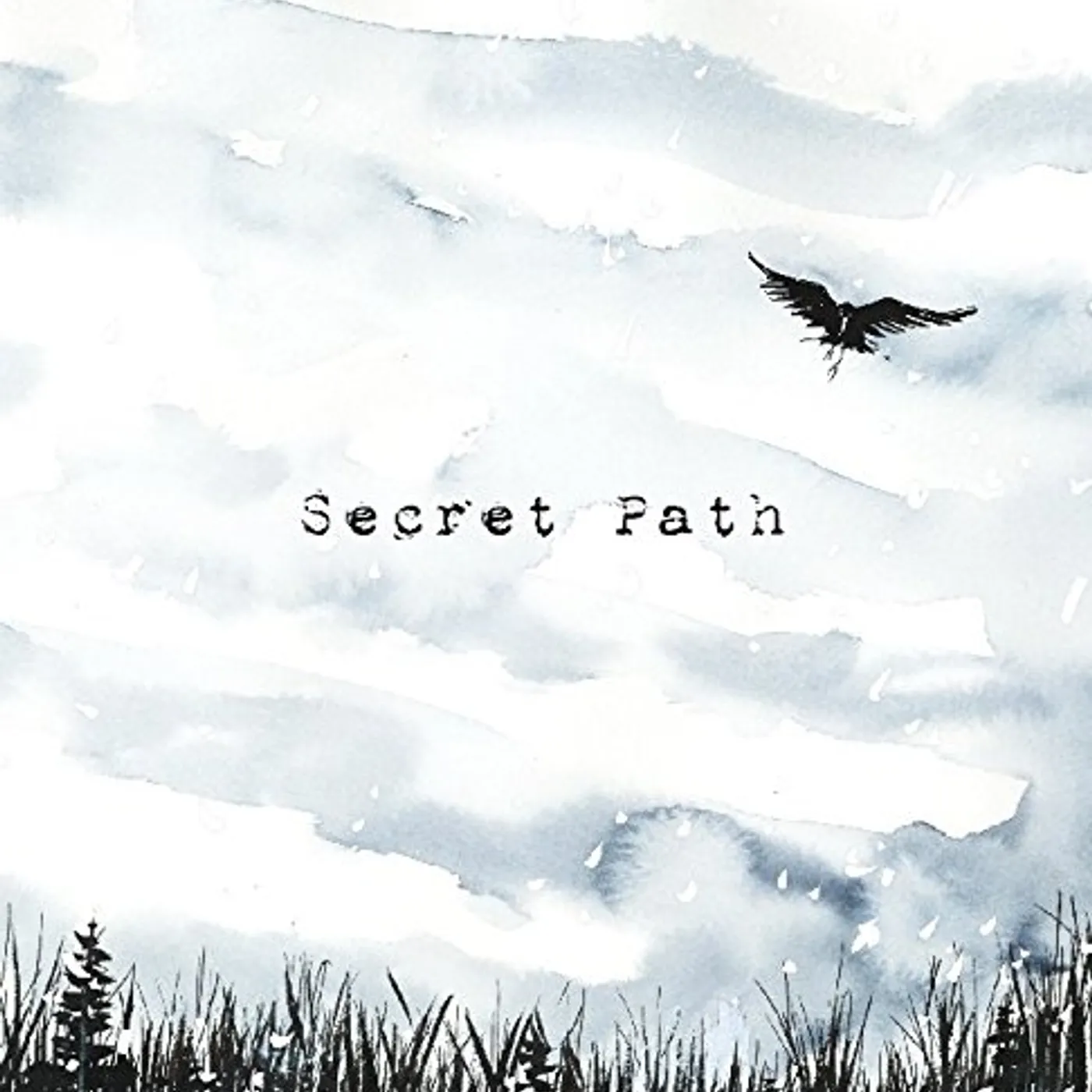Gord Downie Secret Path Vinyl Record