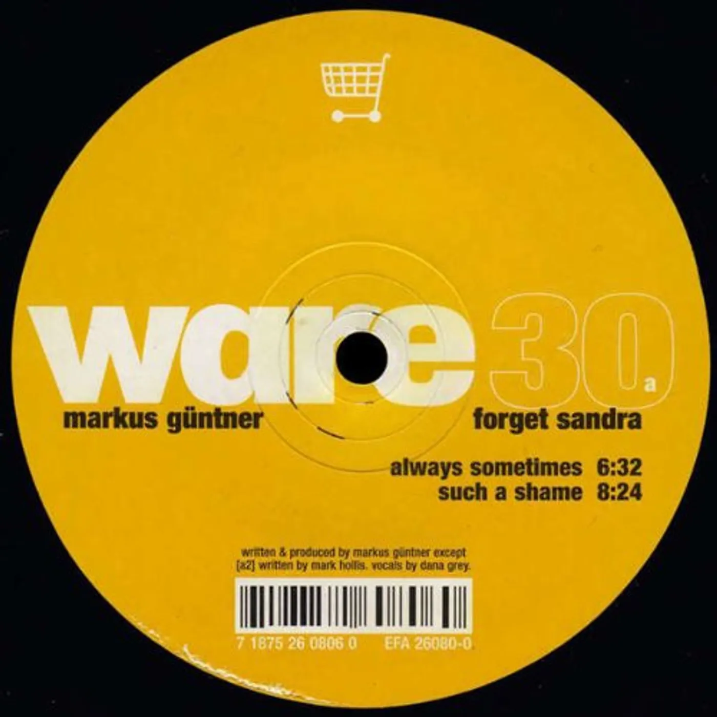 Markus Guentner FORGET SANDRA Vinyl Record
