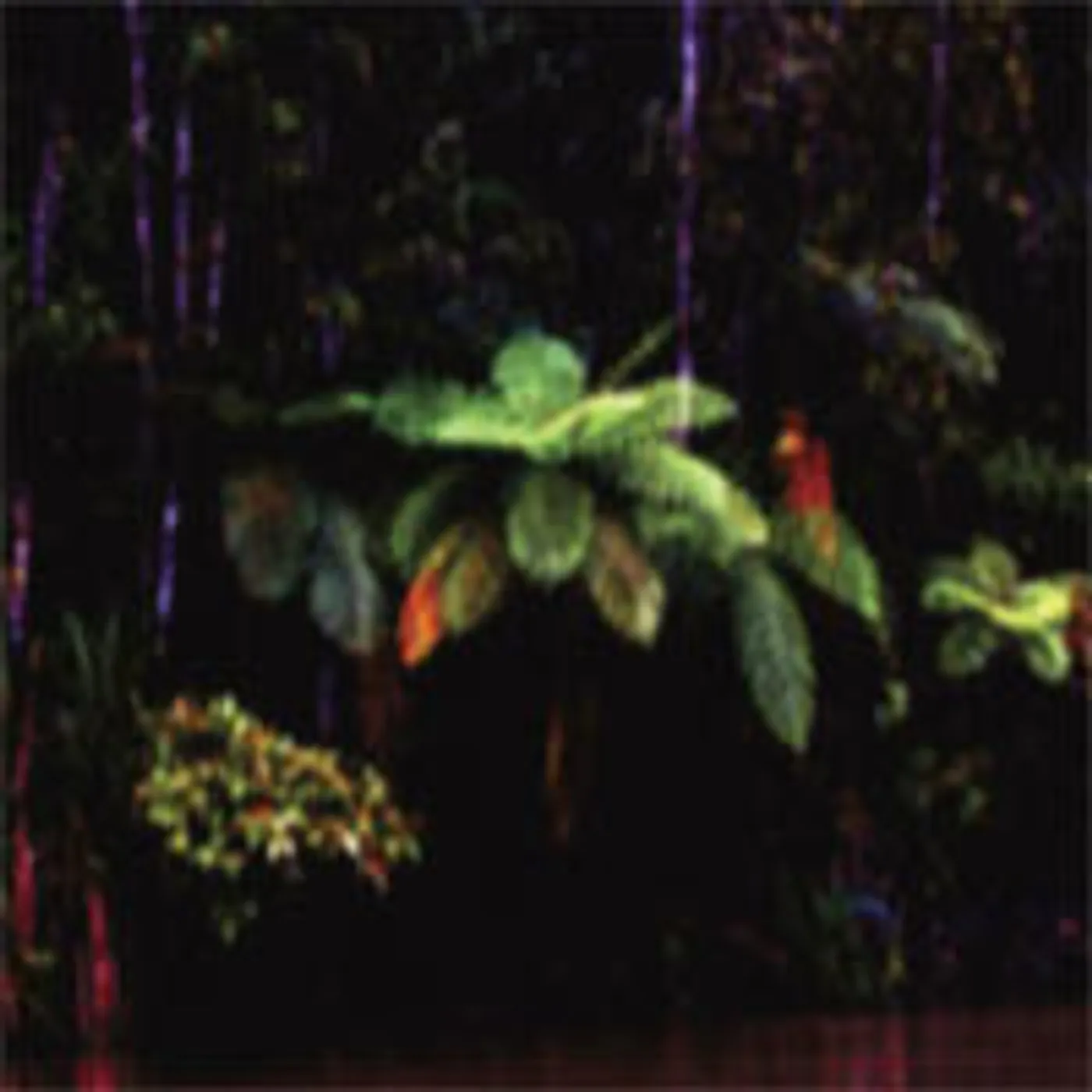 Menstruation Sisters PUPPET ISLAND Vinyl Record
