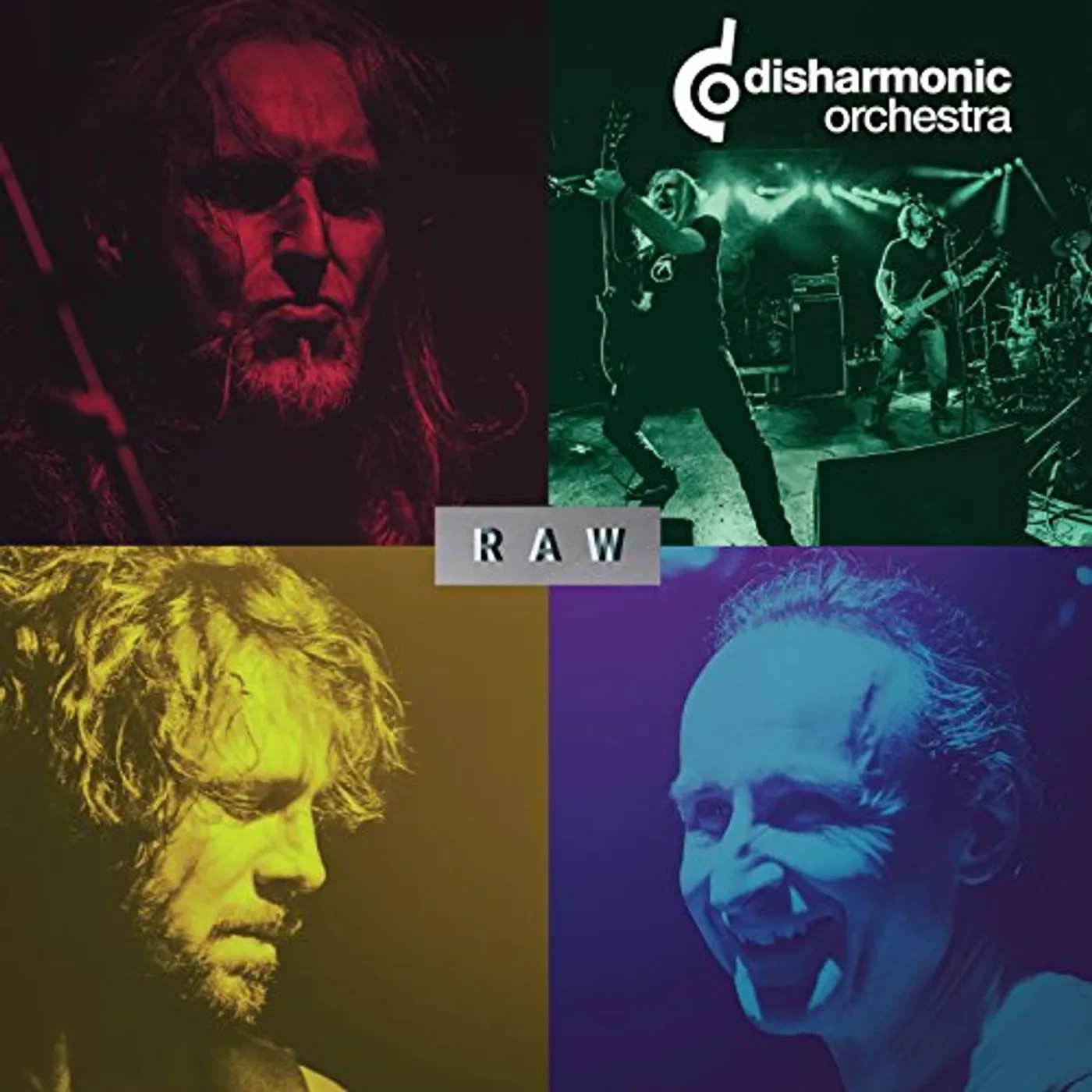 Disharmonic Orchestra RAW Vinyl Record