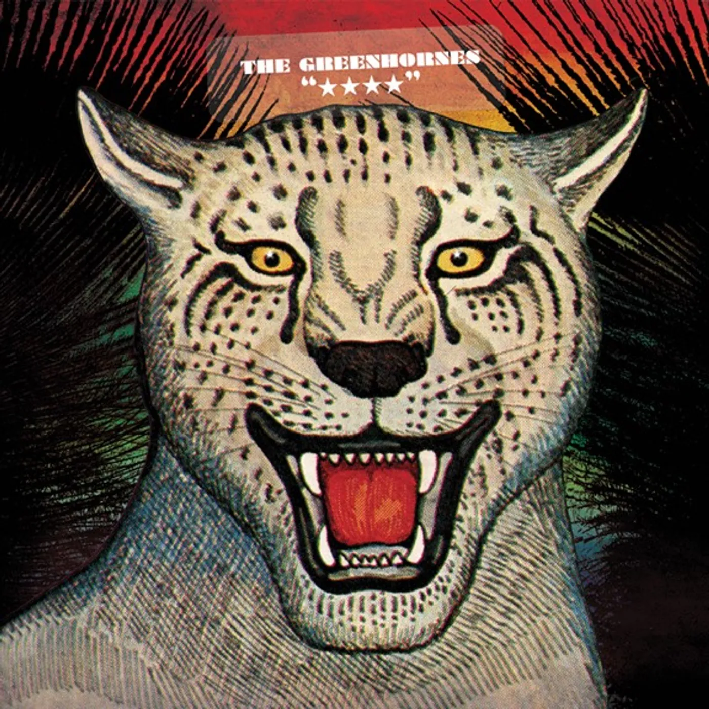 The Greenhornes IV STARS CD