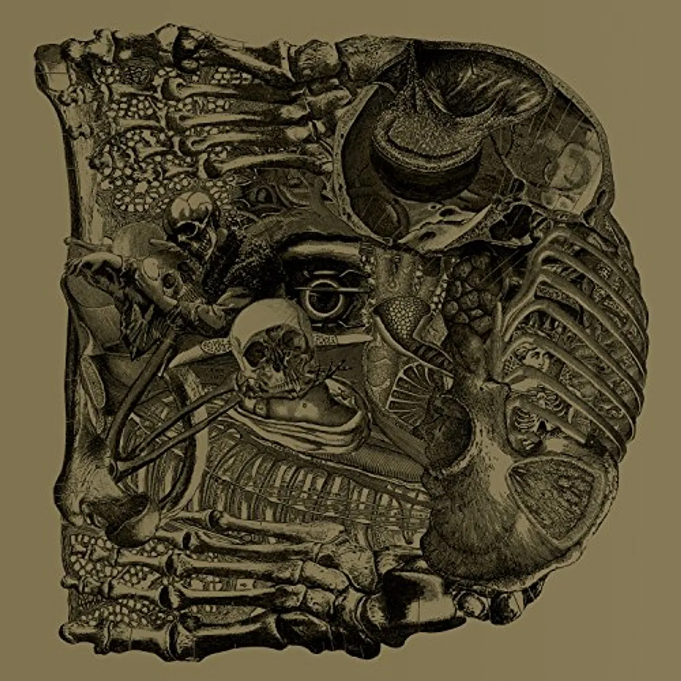 Boris Dear Vinyl Record