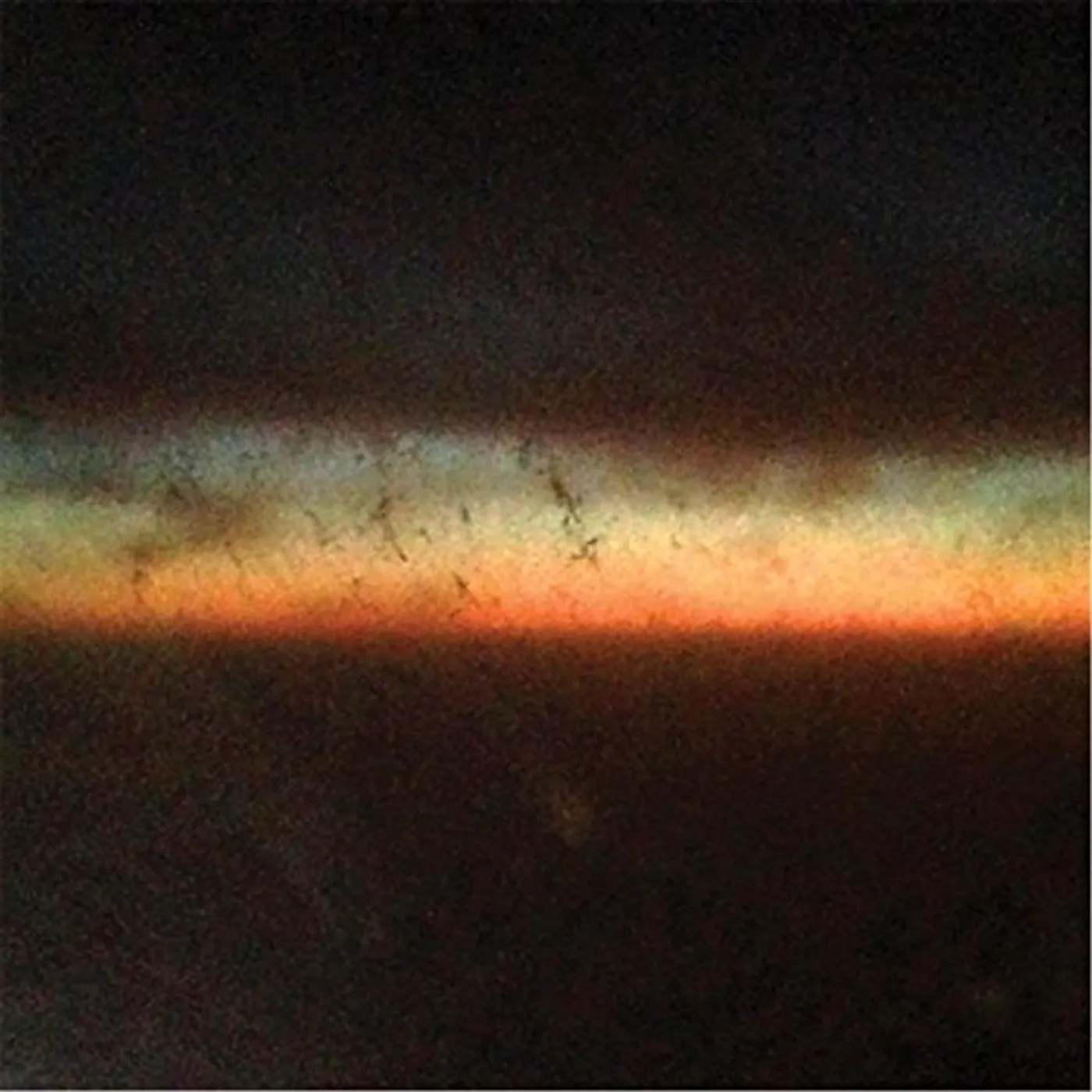 Insect Factory Work Vinyl Record