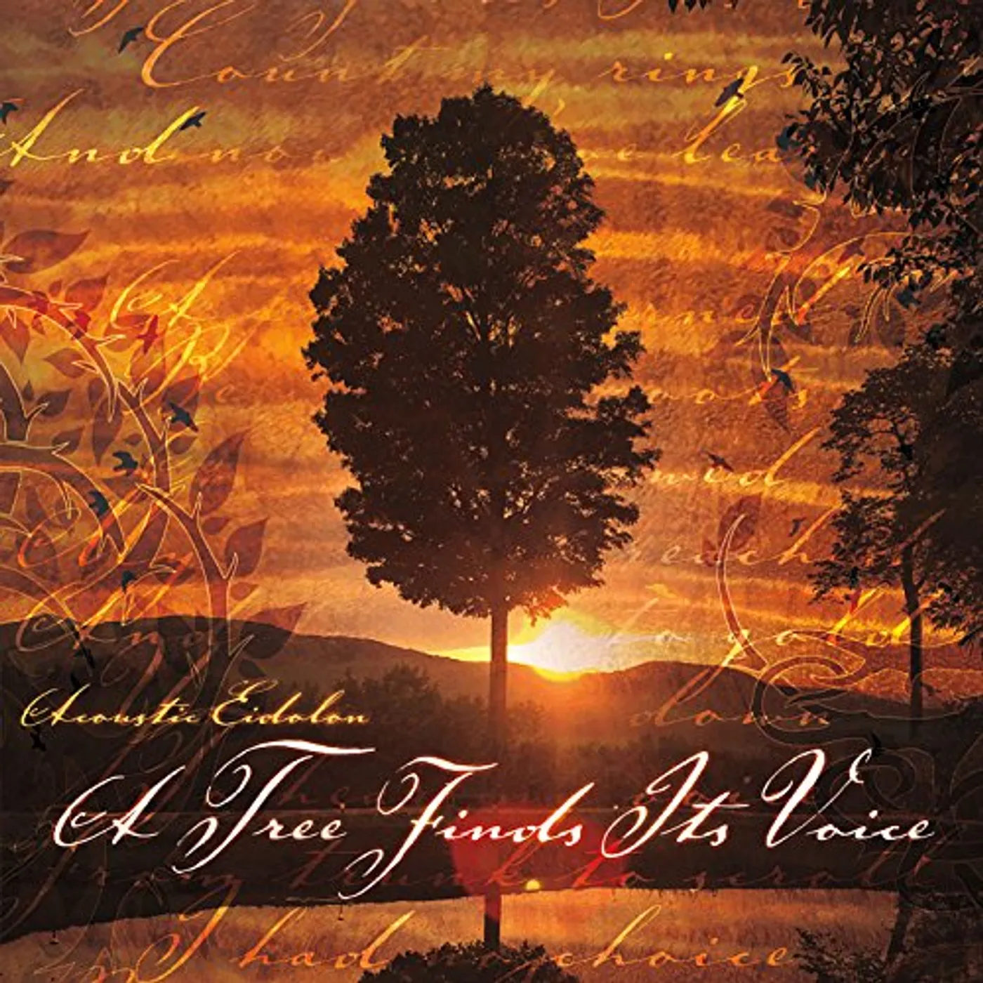 Acoustic Eidolon TREE FINDS ITS VOICE CD