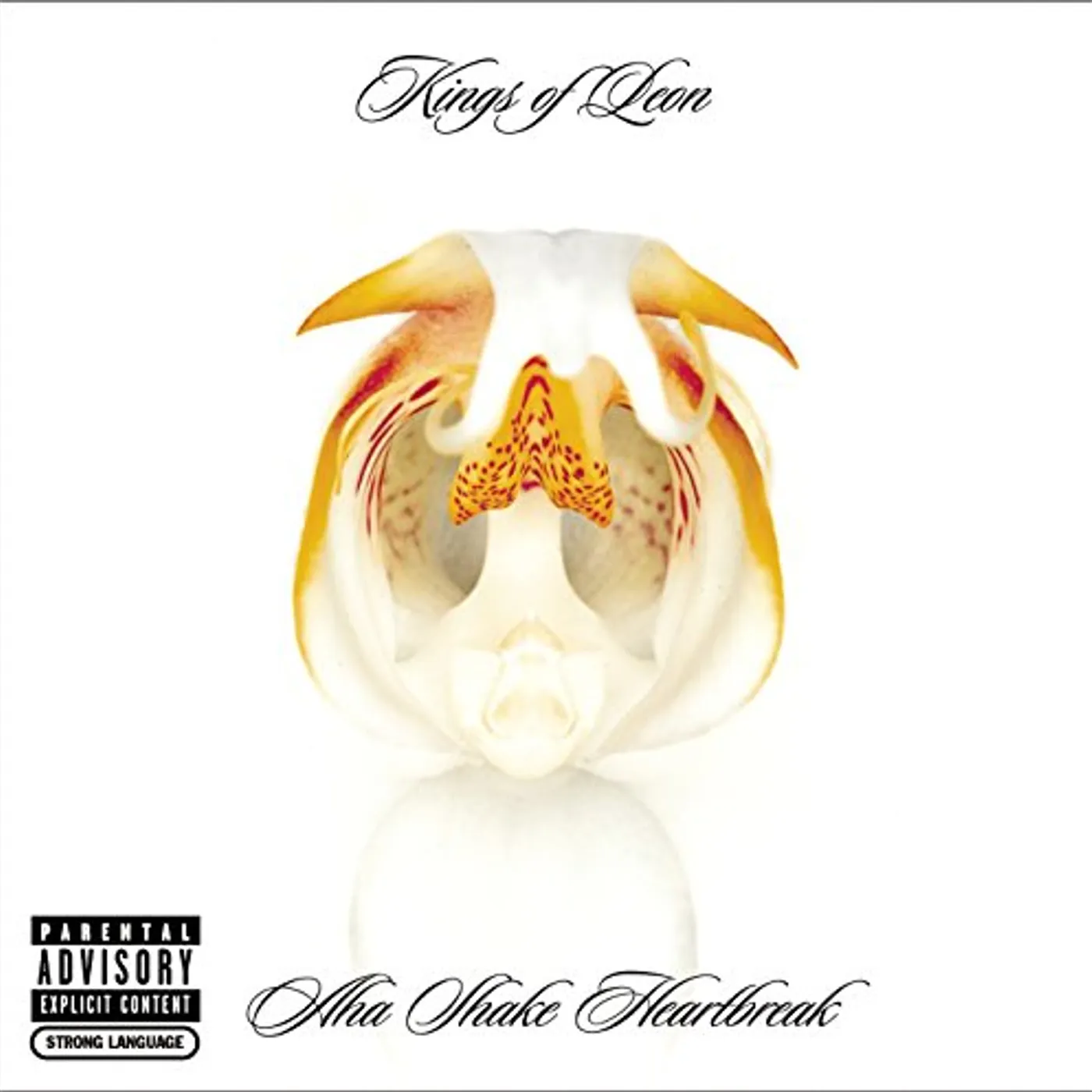Kings of Leon Aha Shake Heartbreak Vinyl Record