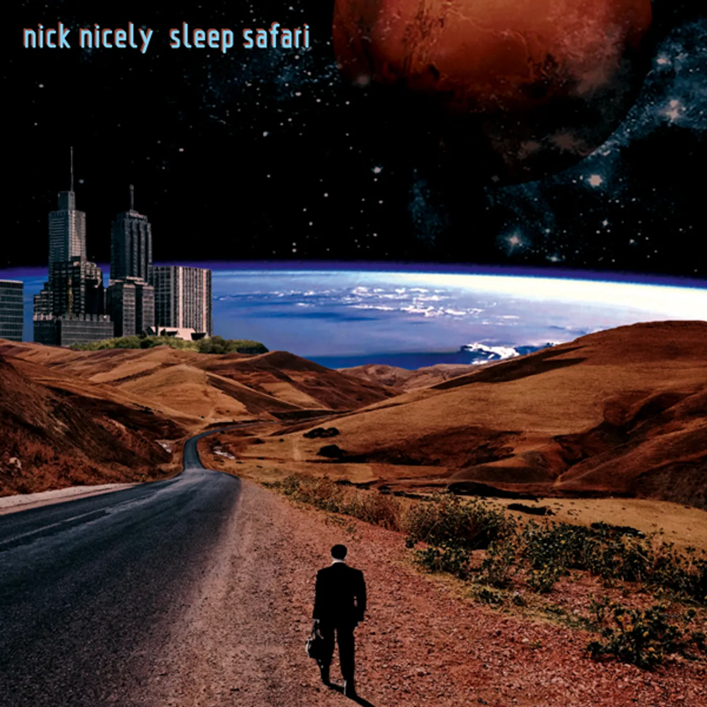 Nick Nicely Sleep Safari Vinyl Record
