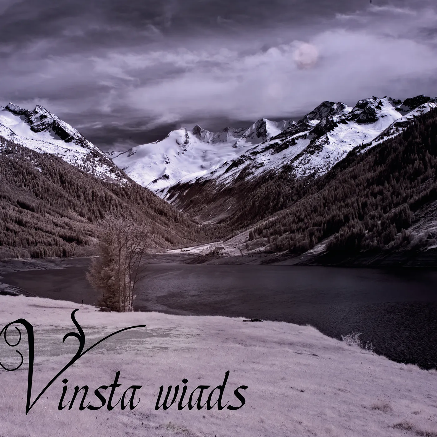 Vinsta WIADS CD