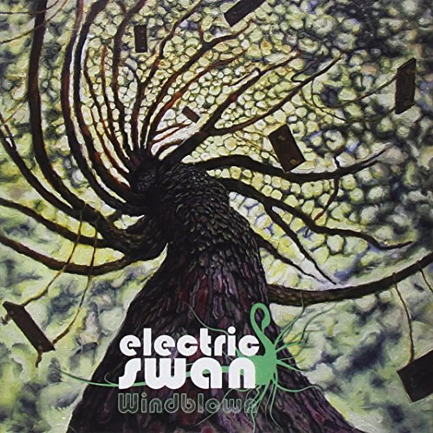 Electric Swan WINDBLOWN CD
