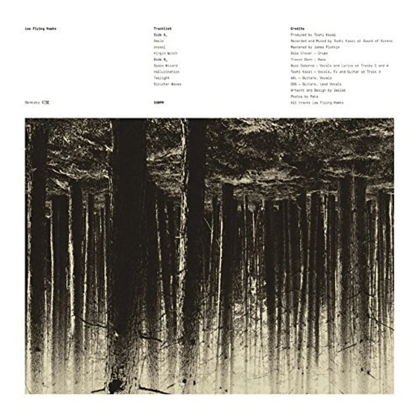 Low Flying Hawks Genkaku Vinyl Record