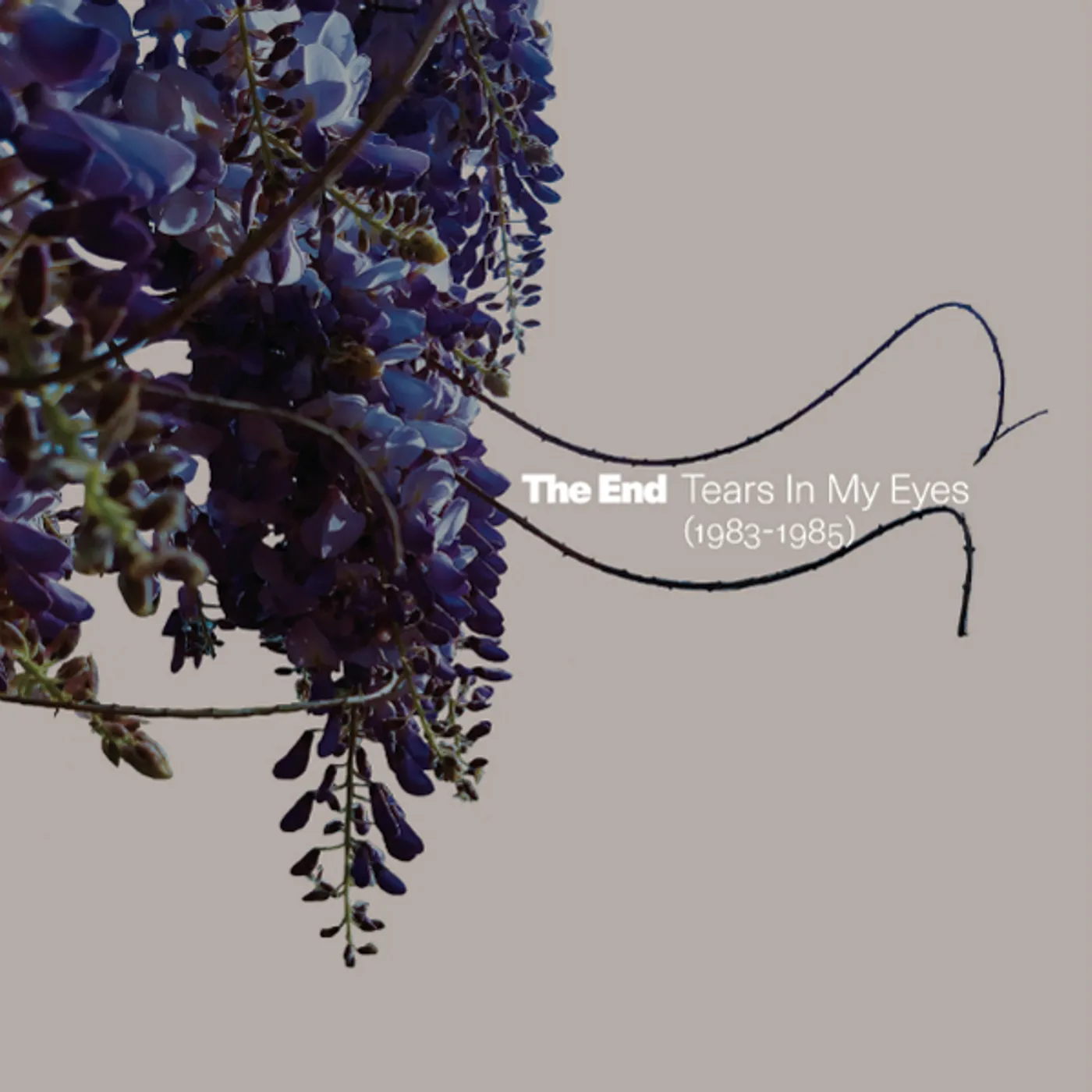 END TEARS IN MY EYES (1983-1985 CD