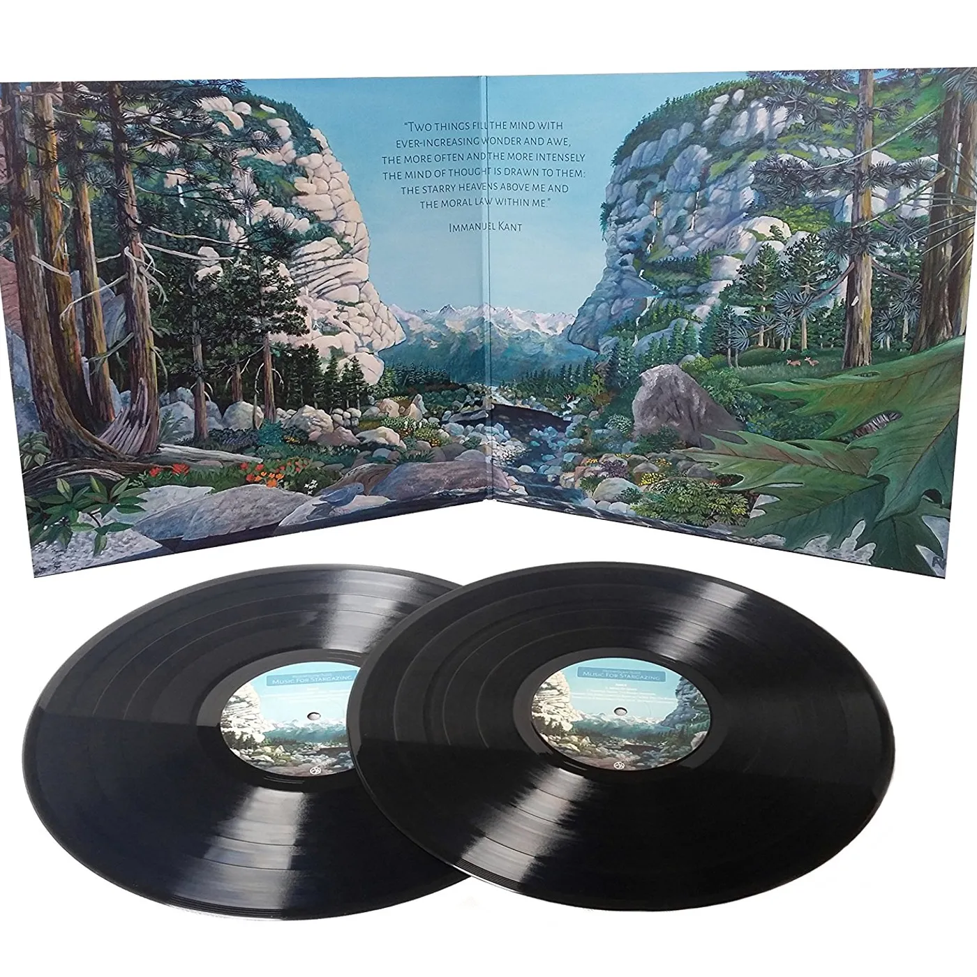 Przemyslaw Rudz Music For Stargazing Vinyl Record