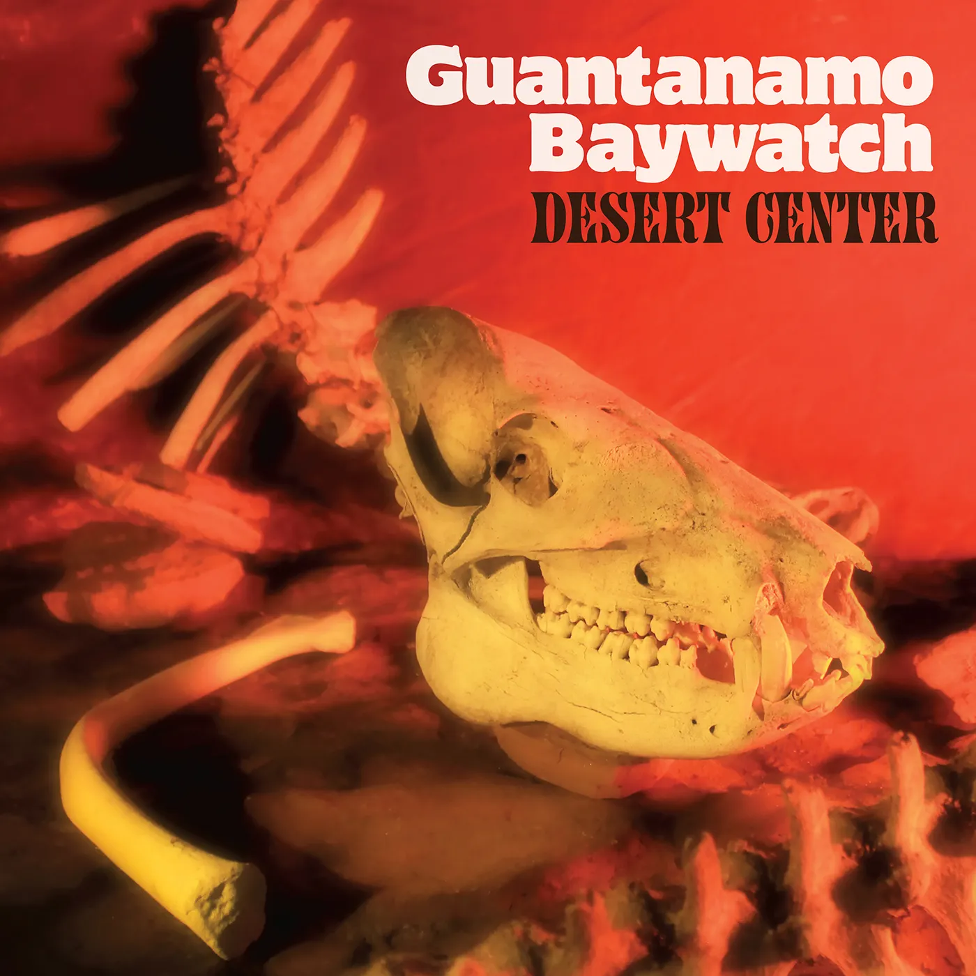 Guantanamo Baywatch DESERT CENTER CD