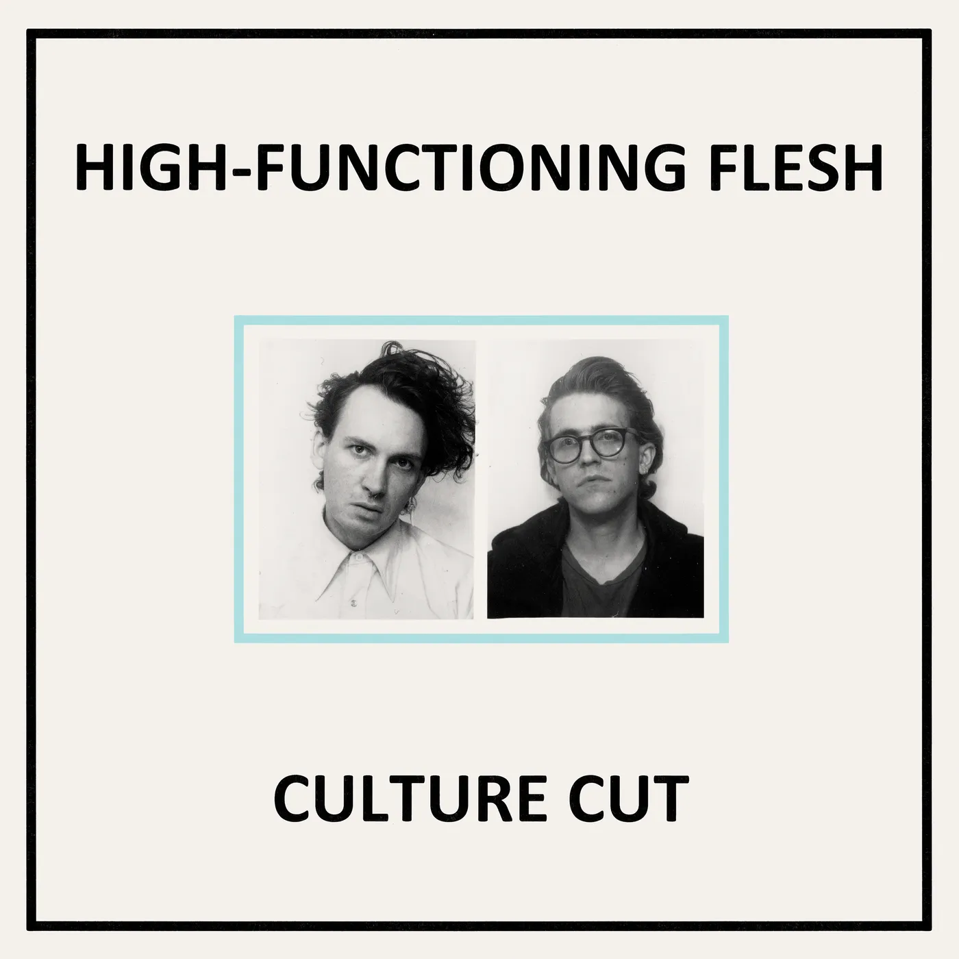 High-Functioning Flesh CULTURE CUT CD