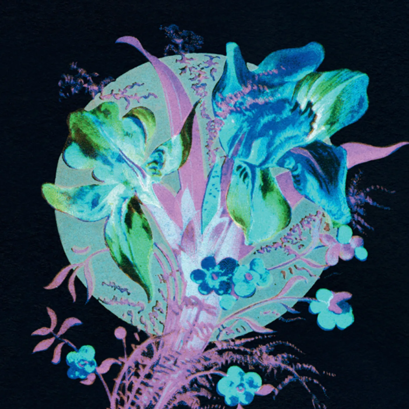 Hannu Karjalainen HANDFUL OF DUST IS A DESERT CD