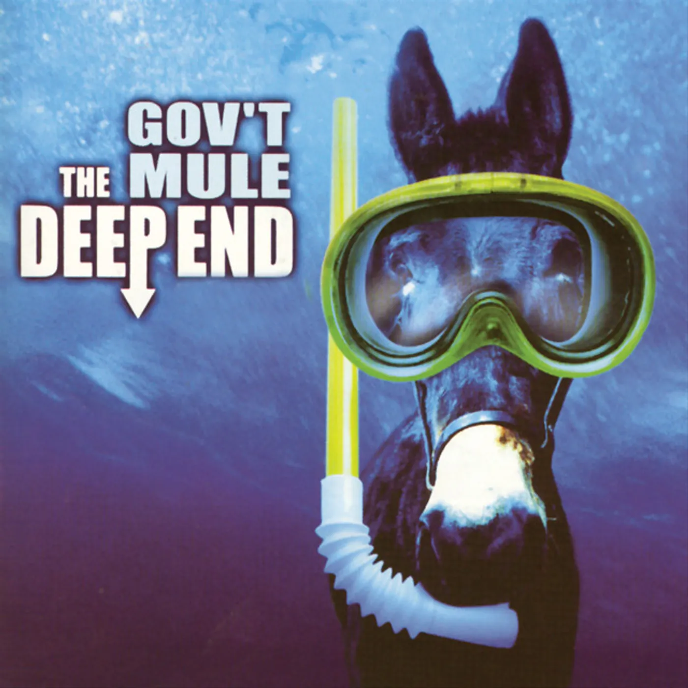 Gov't Mule DEEP END 2 Vinyl Record