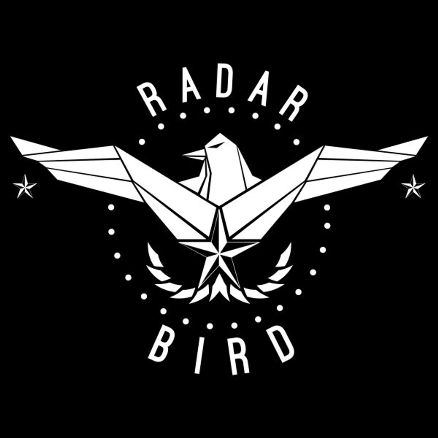 Radar Bird HOMESICK Vinyl Record