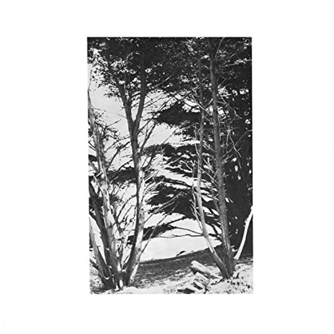 Rick Deitrick Gentle Wilderness Vinyl Record