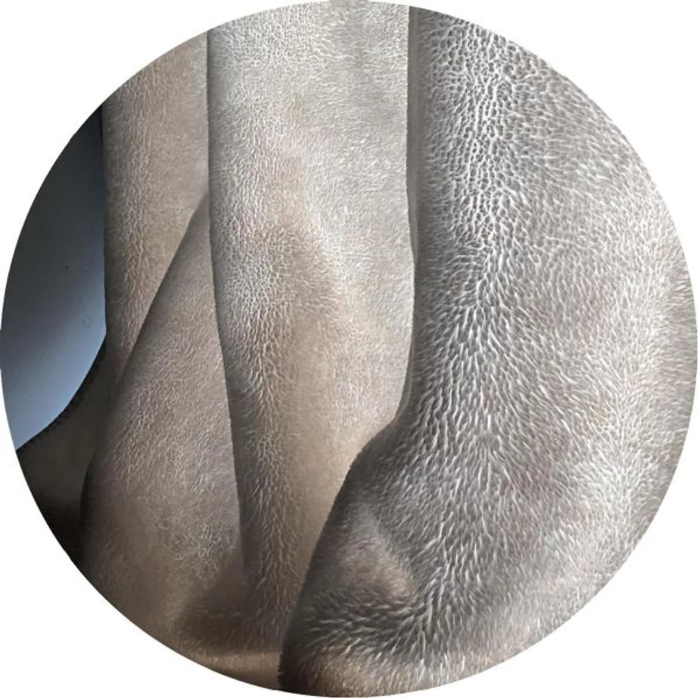 Panthera Krause Cloud Cake Vinyl Record