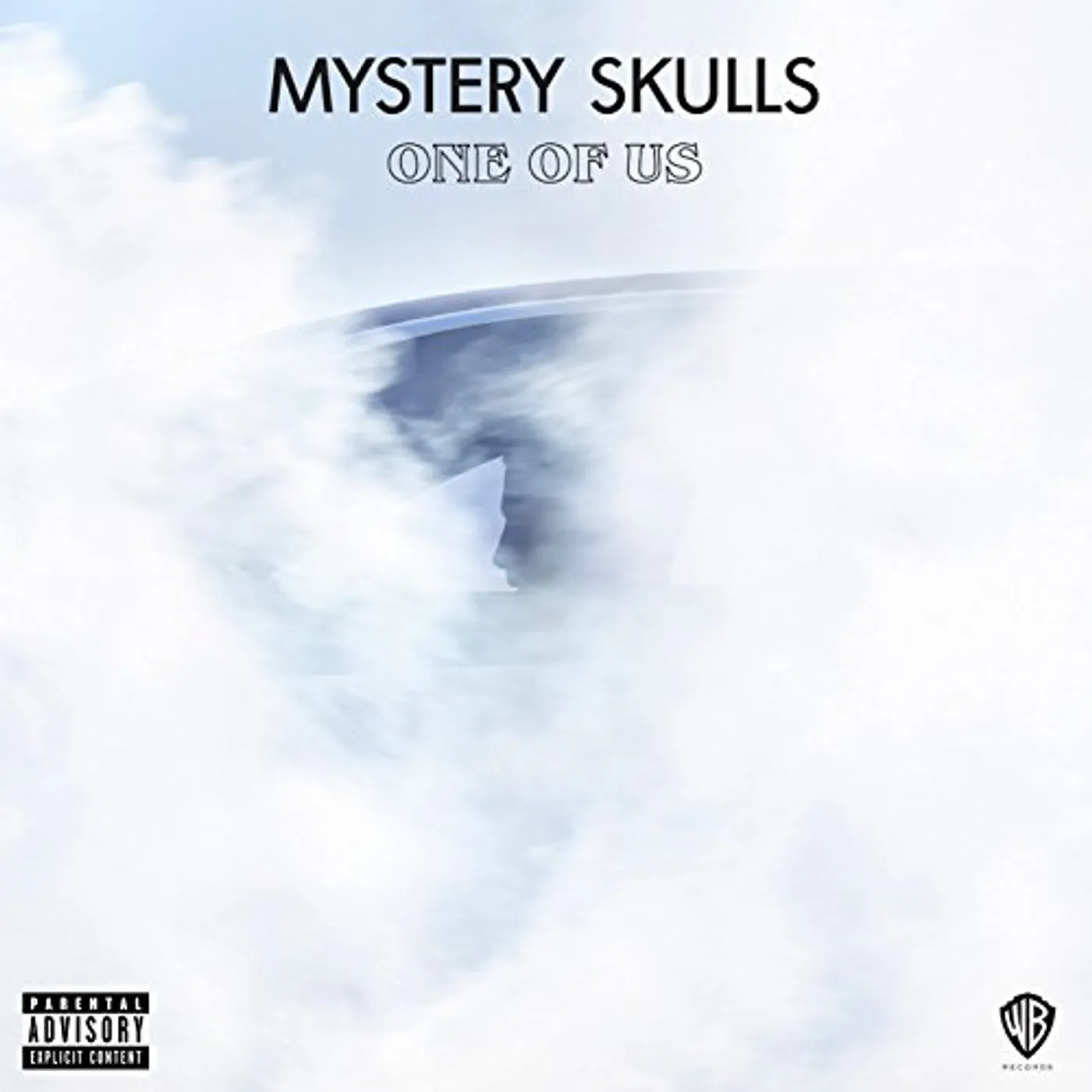 Mystery Skulls ONE OF US Vinyl Record