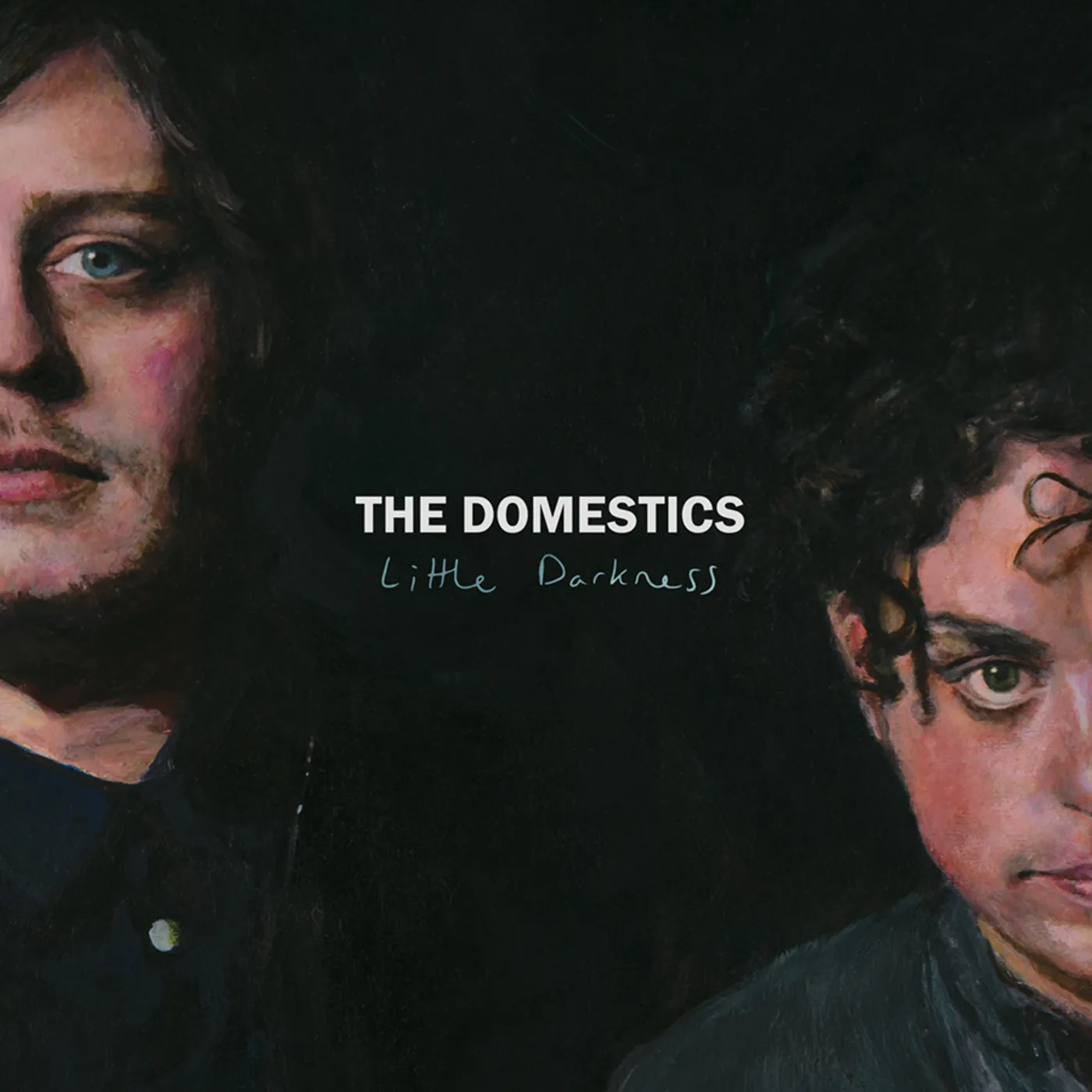 The Domestics Little Darkness Vinyl Record