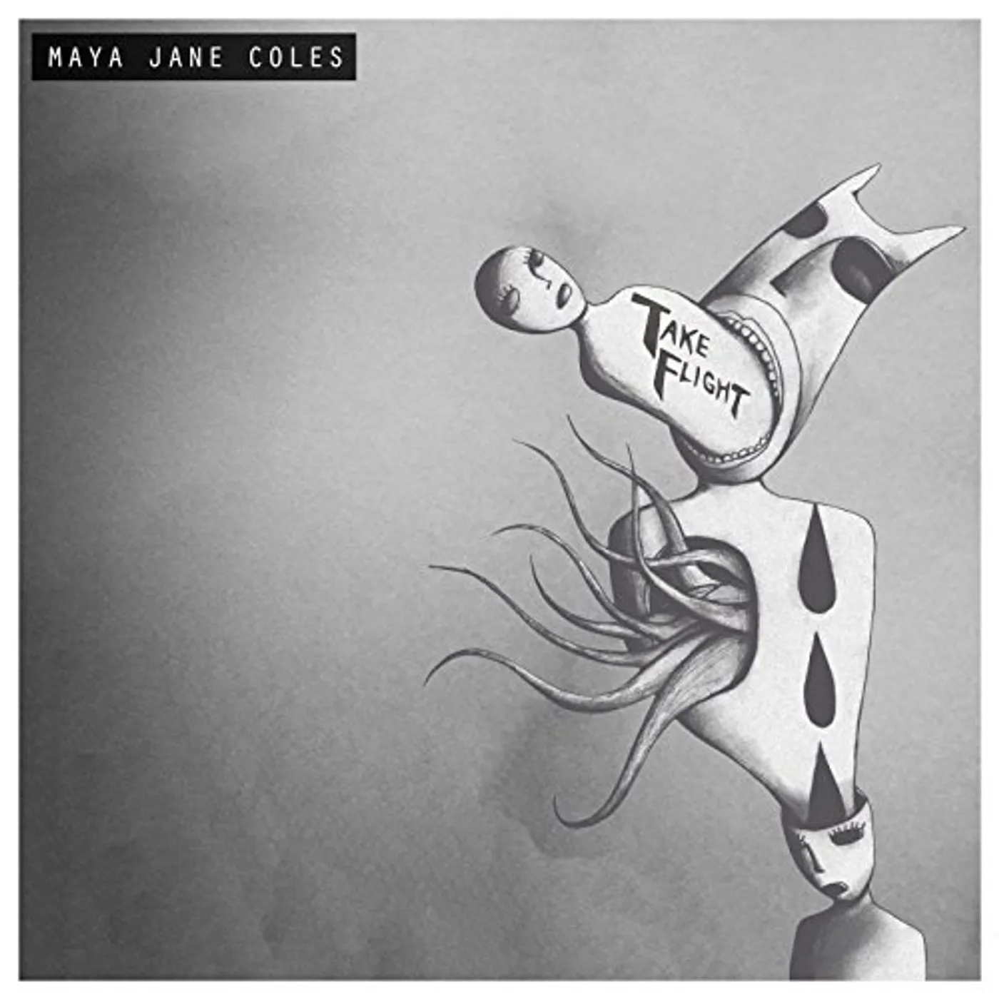 Maya Jane Coles TAKE FLIGHT CD