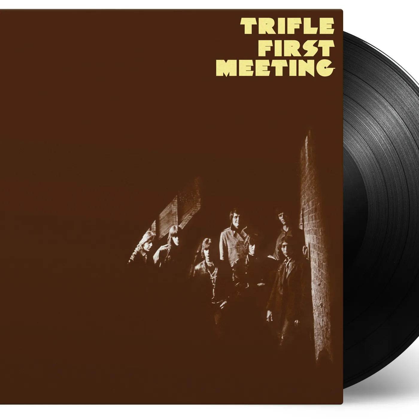 Trifle First Meeting Vinyl Record