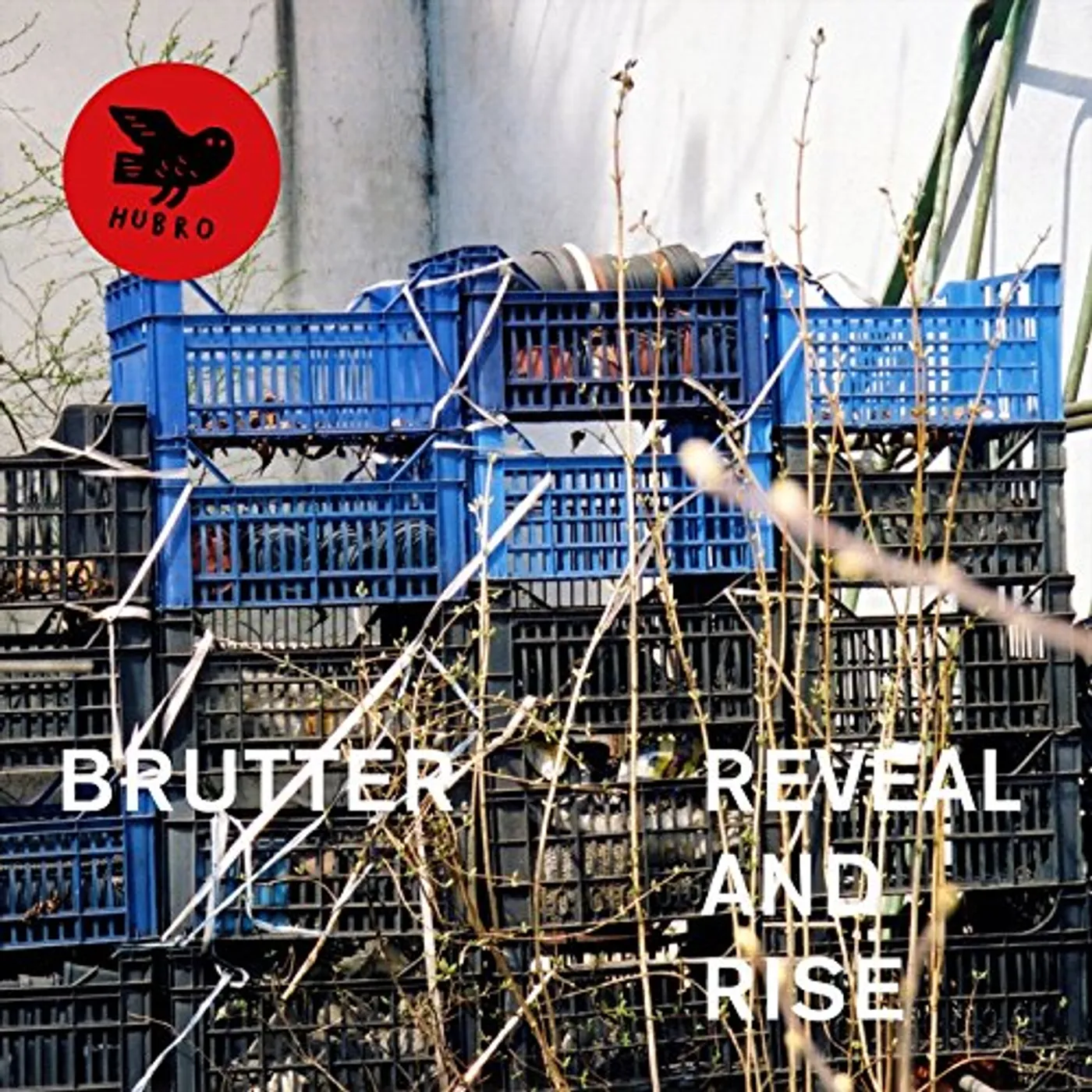 Brutter Reveal and Rise Vinyl Record