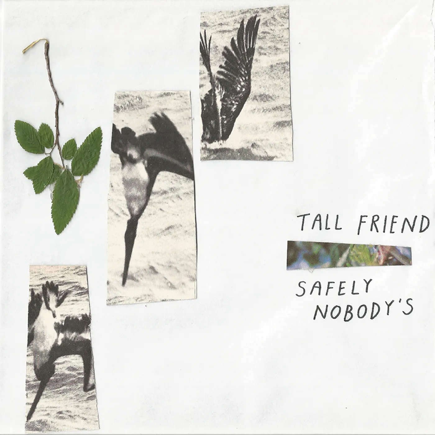 Tall Friend Safely Nobody's Vinyl Record