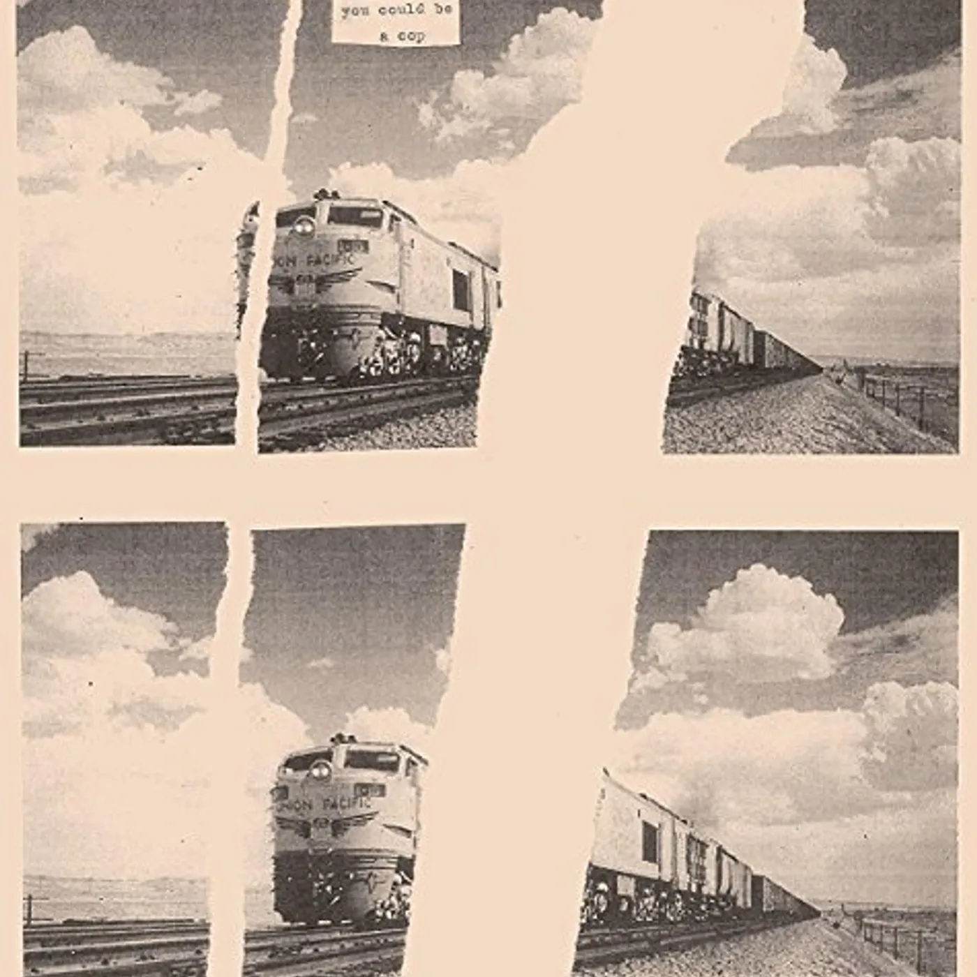 You Could Be a Cop Vinyl Record