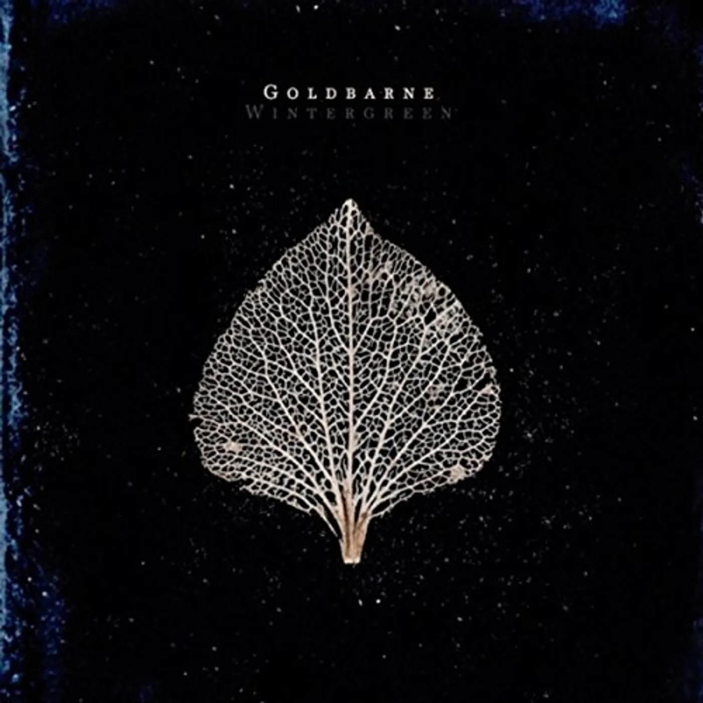 Goldbarne WINTERGREEN CD