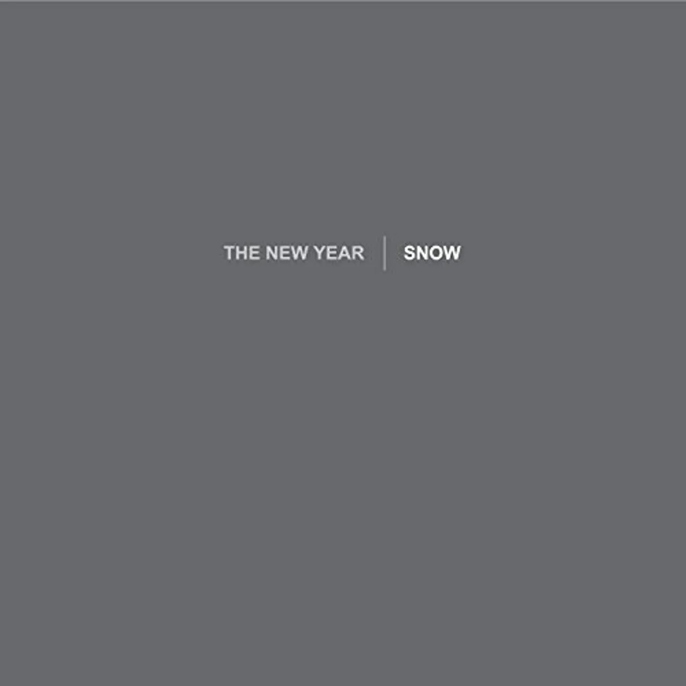 The New Year Snow Vinyl Record