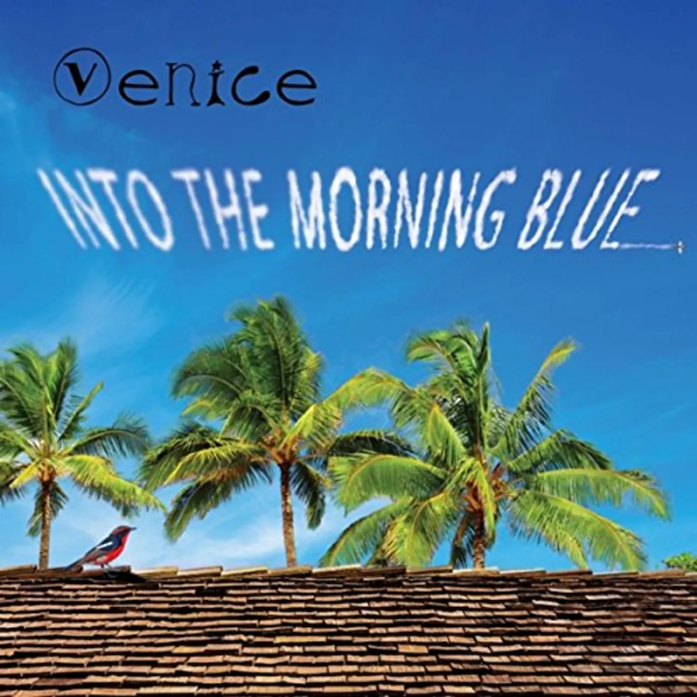 VENICE INTO THE MORNING BLUE CD