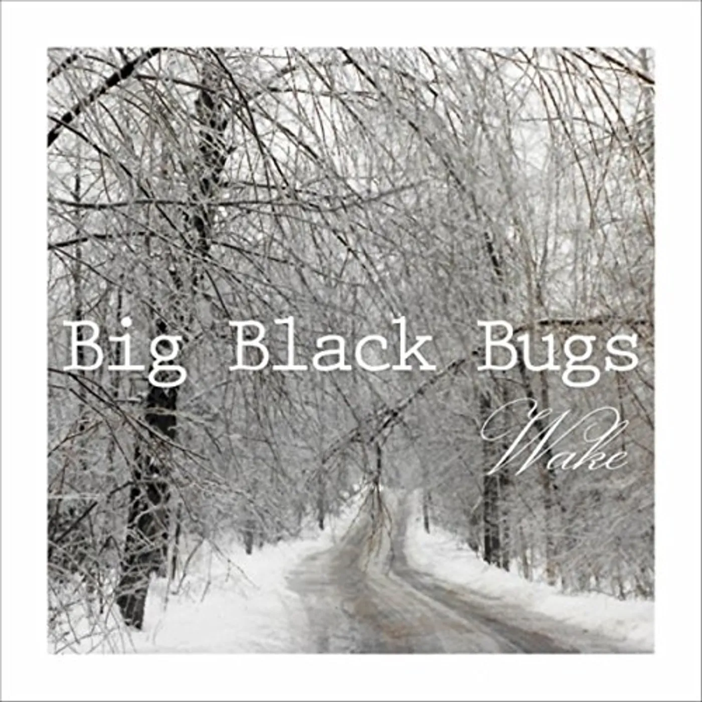 Big Black Bugs WAKE CD