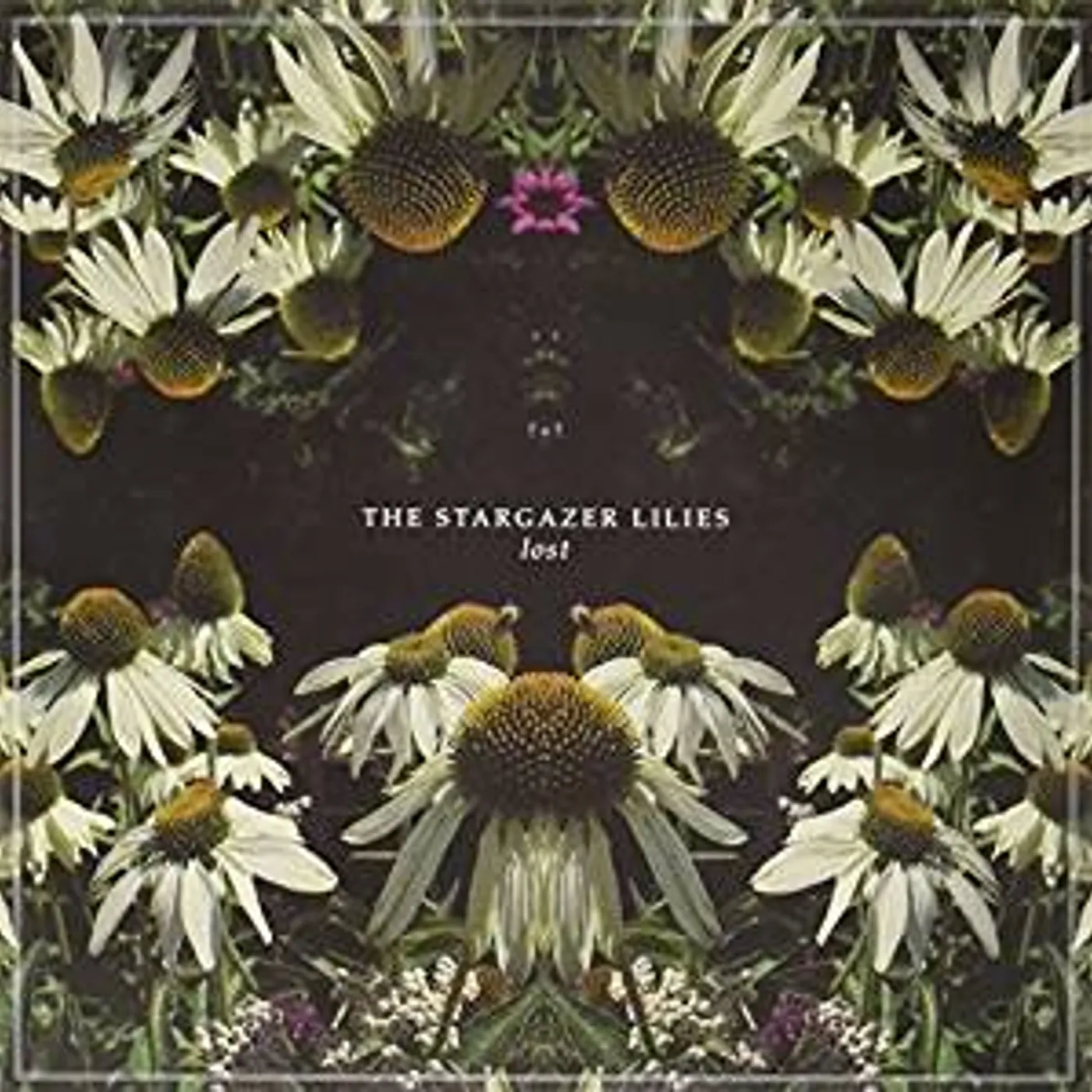 The Stargazer Lilies Lost Vinyl Record