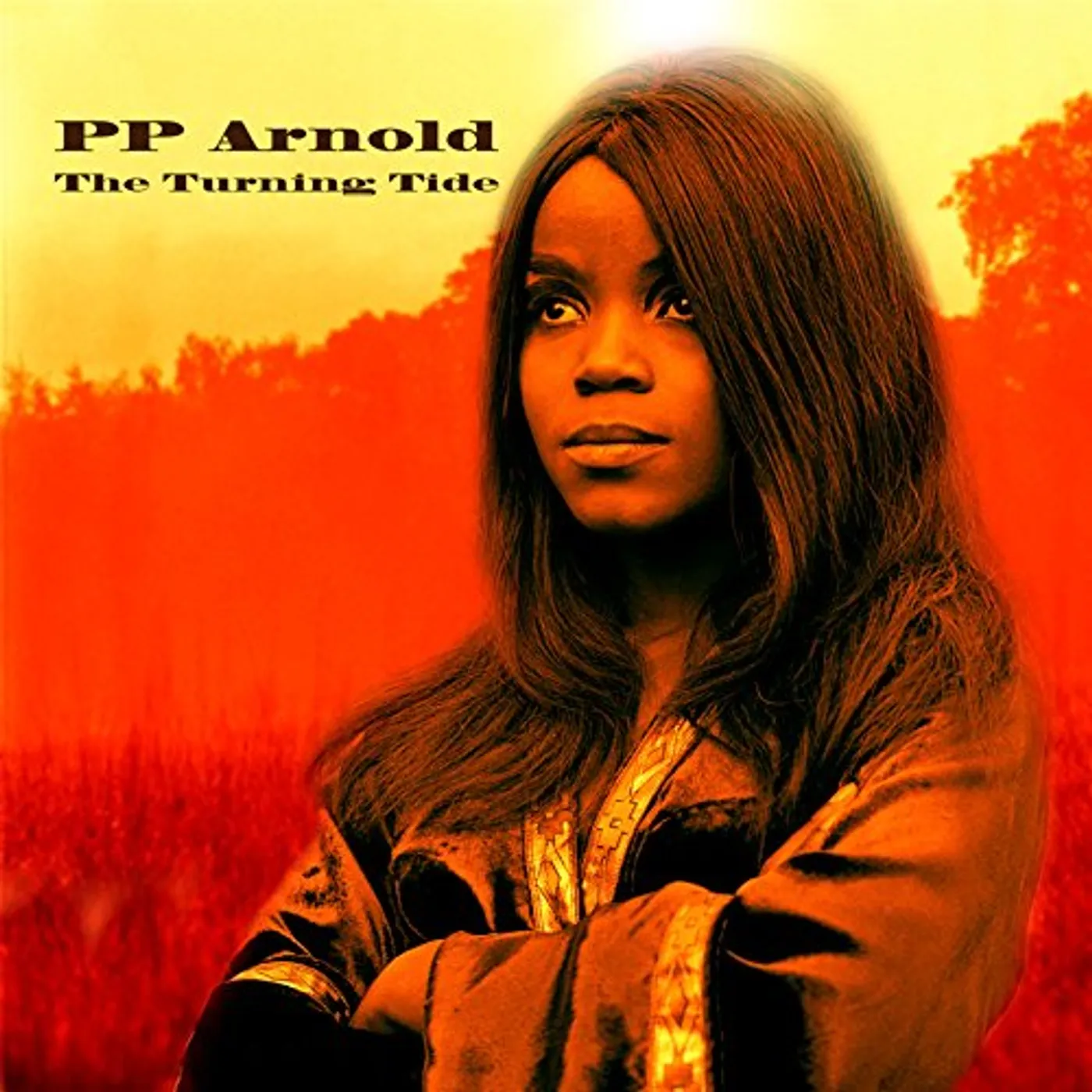 P.P. Arnold TURNING TIDE CD