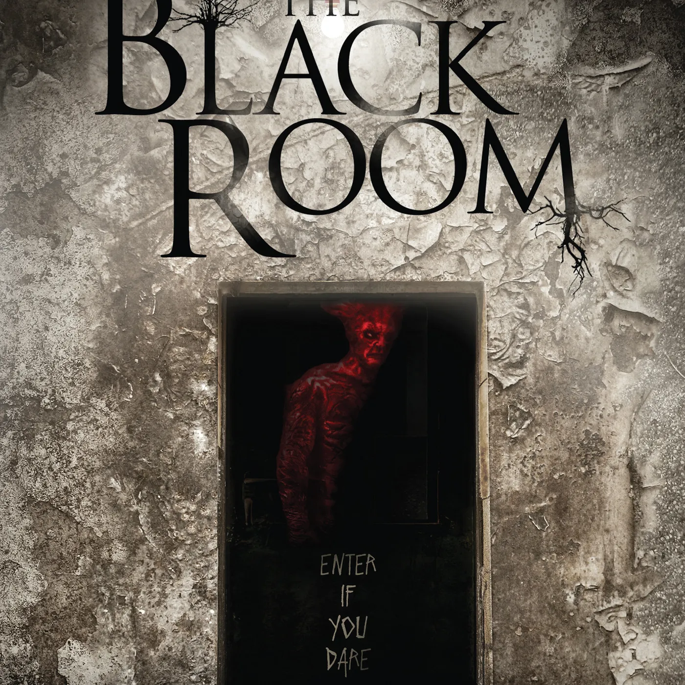 BLACK ROOM DVD