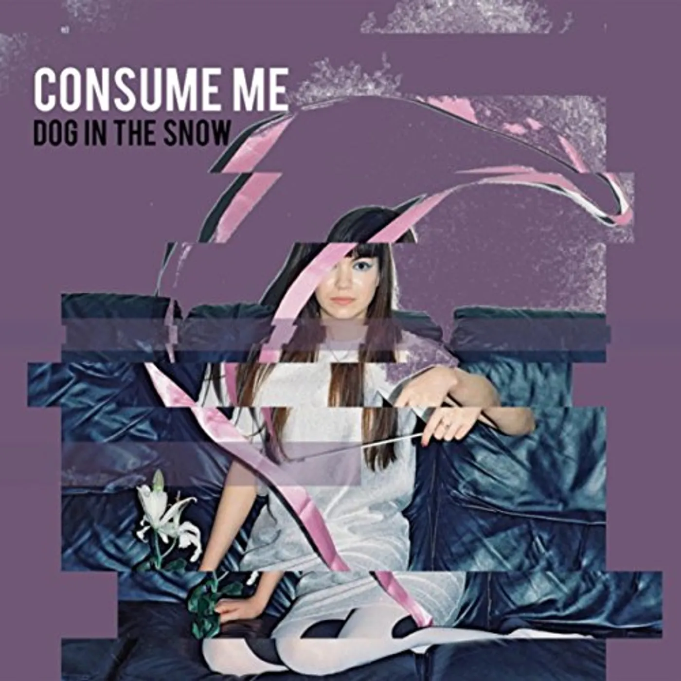 Dog in the Snow CONSUME ME CD
