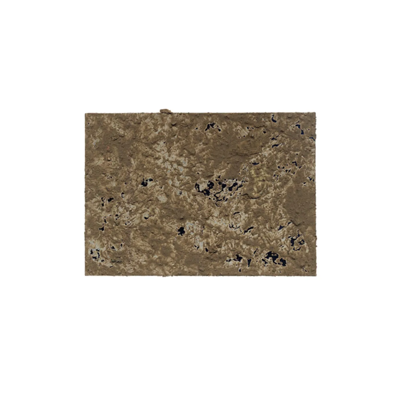 Thomas Müller Not A Bird / Transcarnation One Vinyl Record