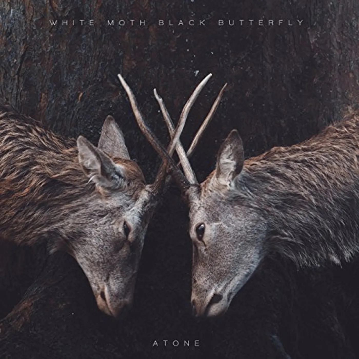 White Moth Black Butterfly Atone Vinyl Record
