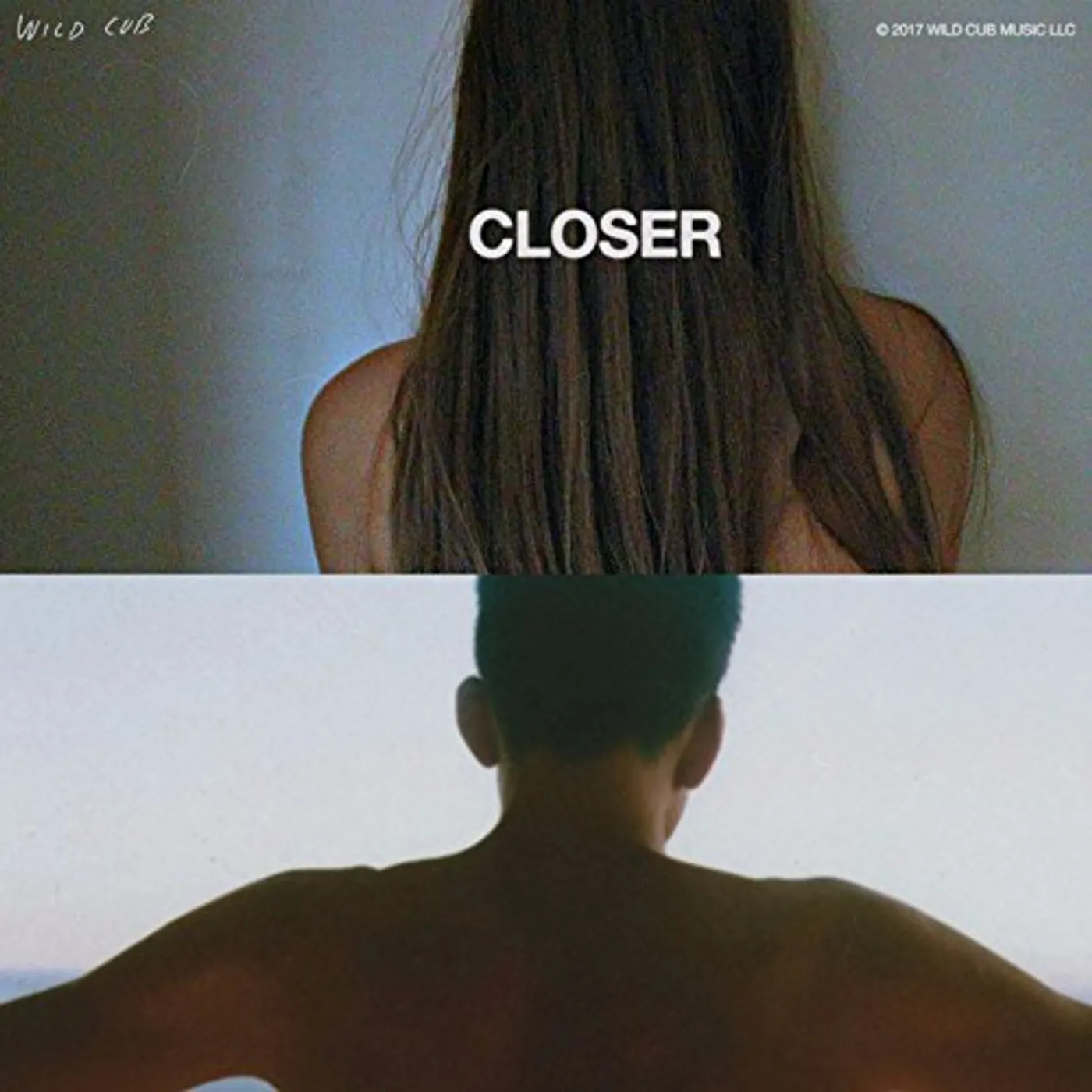 Wild Cub Closer Vinyl Record