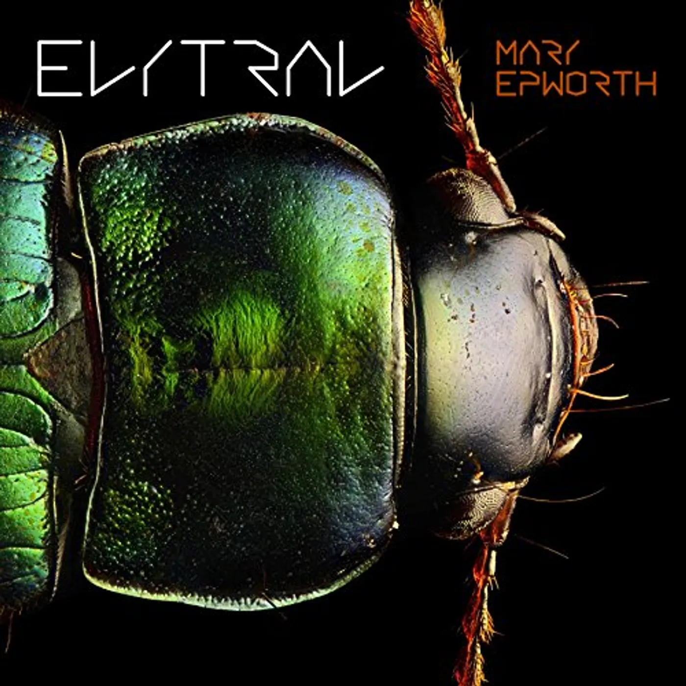 Mary Epworth Elytral Vinyl Record