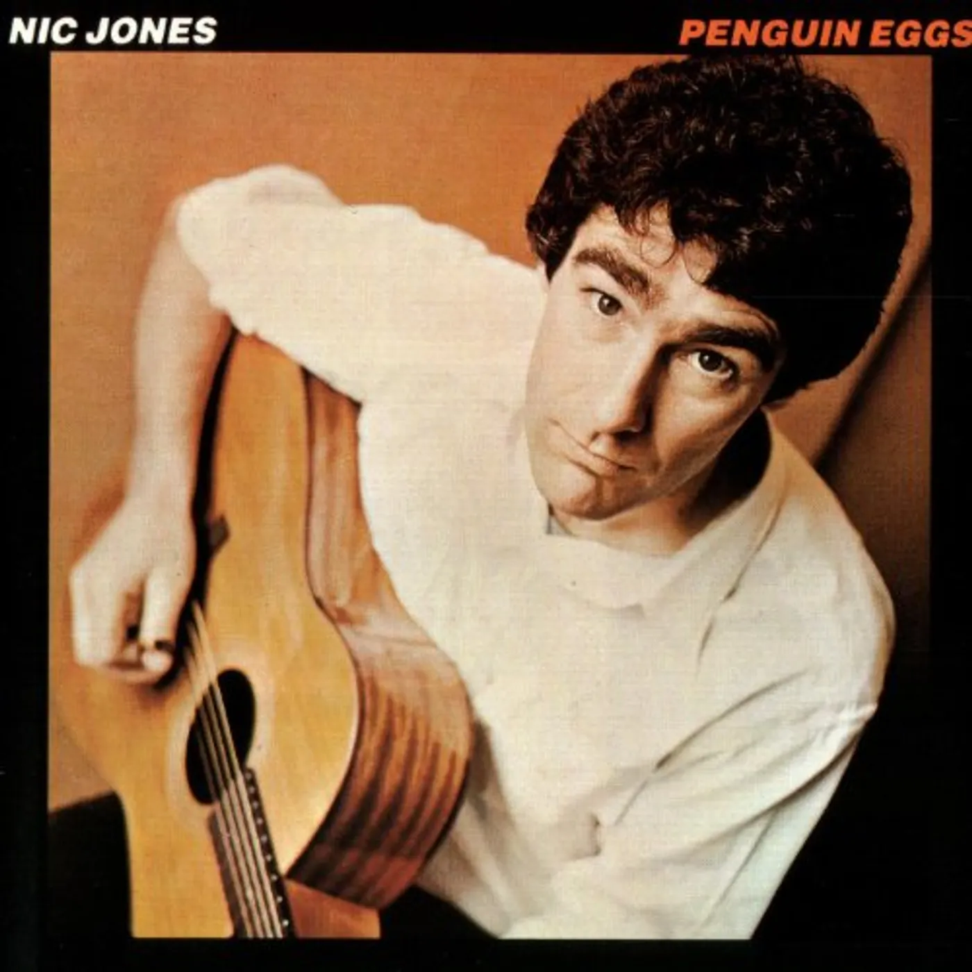 Nic Jones Penguin Eggs Vinyl Record