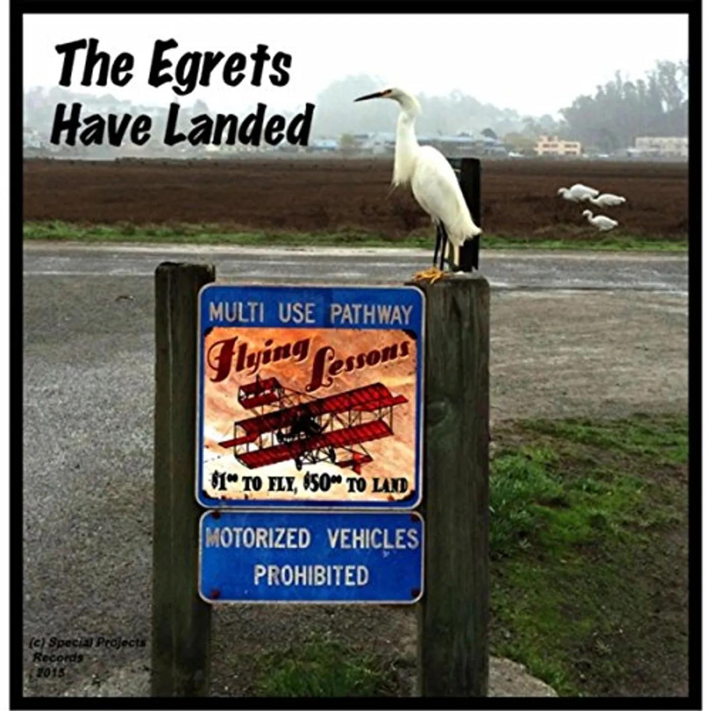 EGRETS HAVE LANDED CD
