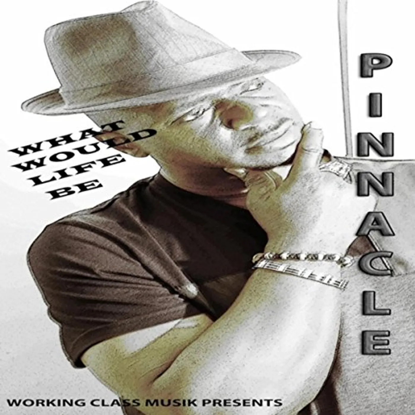 Pinnacle WHAT WOULD LIFE BE CD