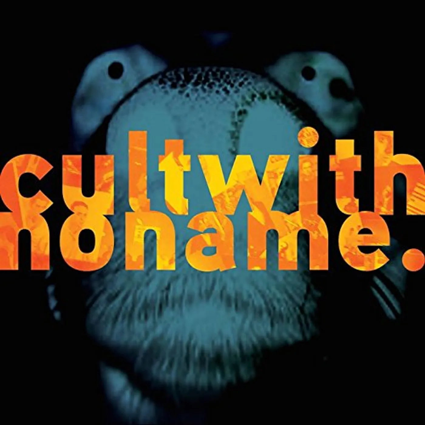 Cult With No Name HEIR OF THE DOG CD
