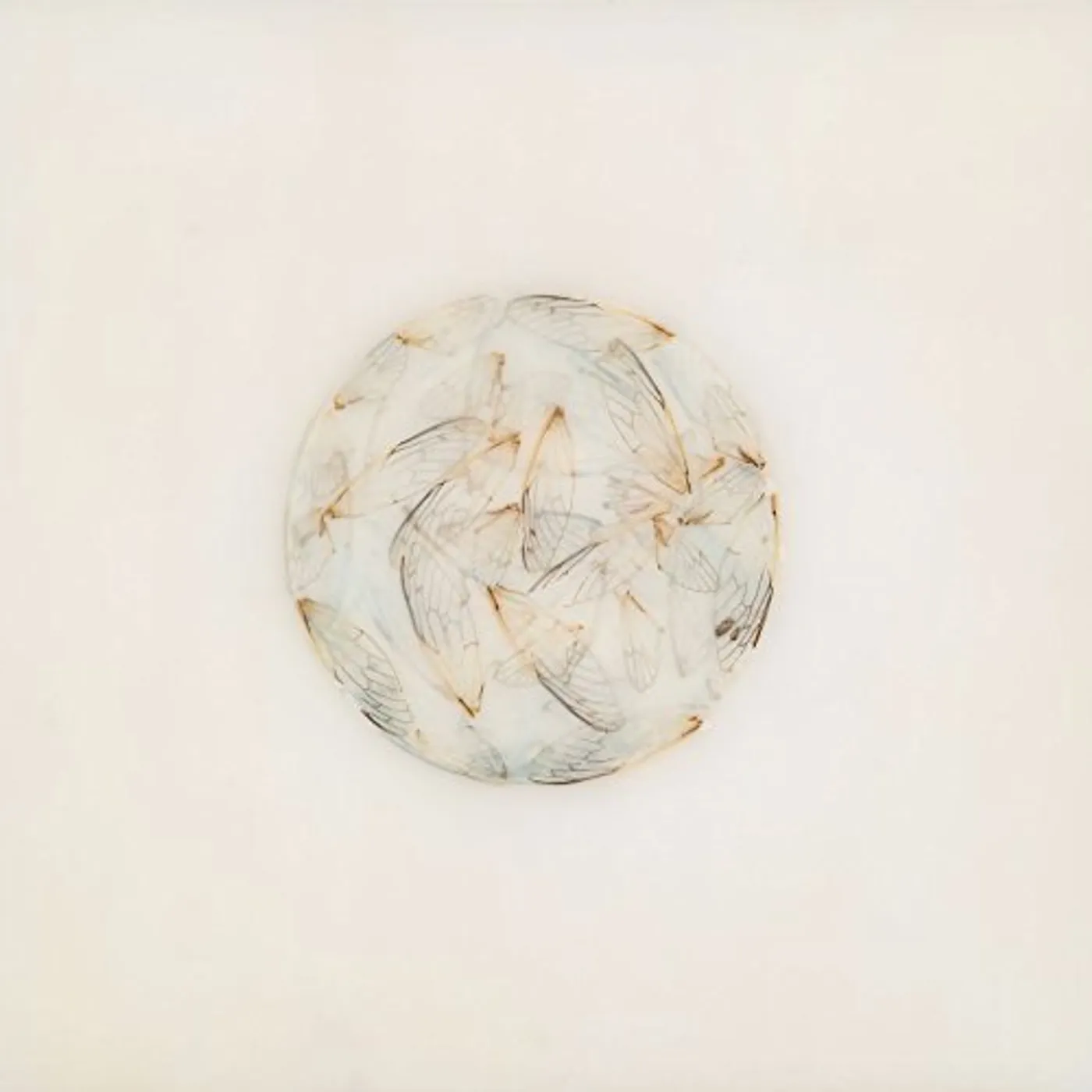 Lotte Kestner OFF WHITE CD