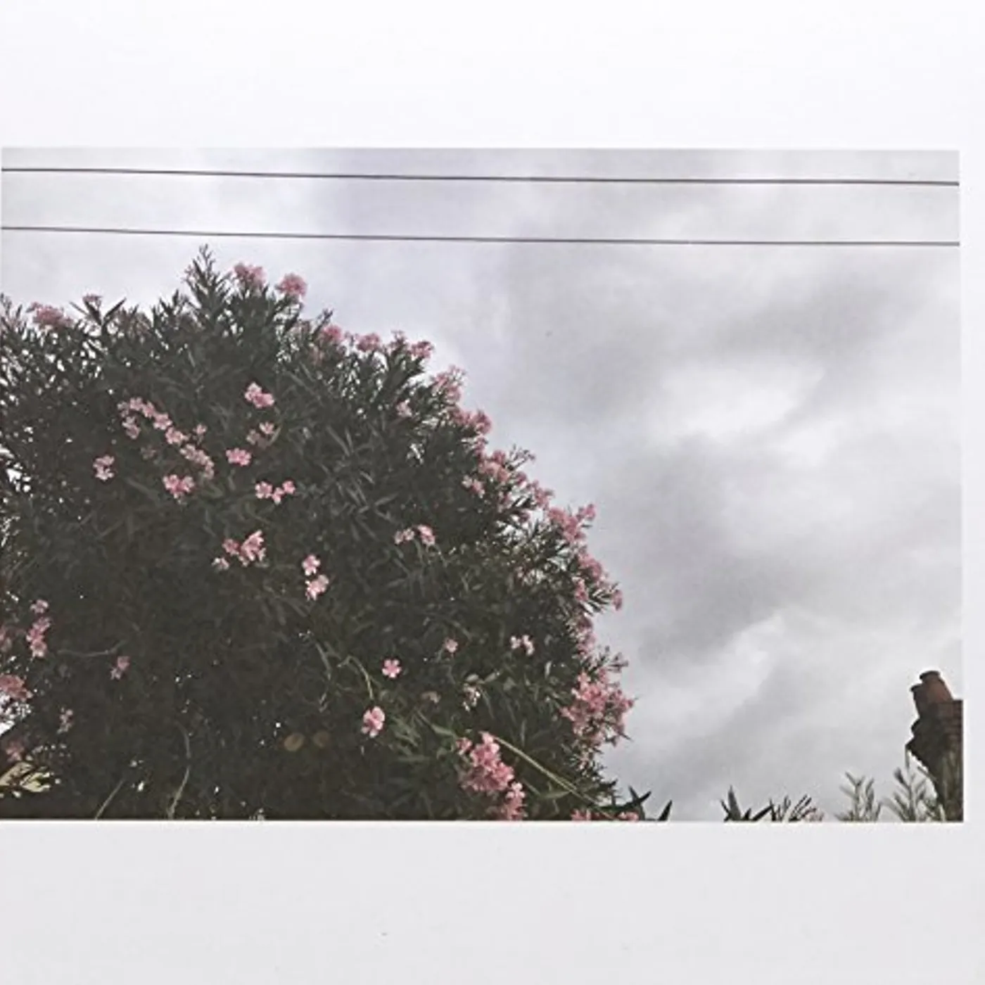 Ceres Stretch Ur Skin Vinyl Record