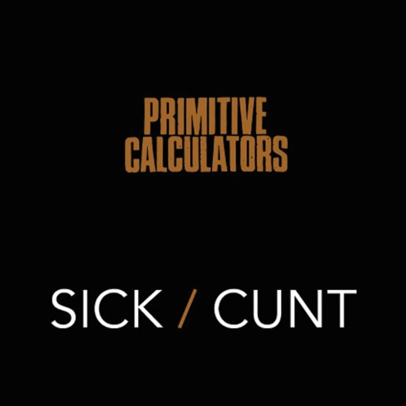 Primitive Calculators SICK C**T Vinyl Record