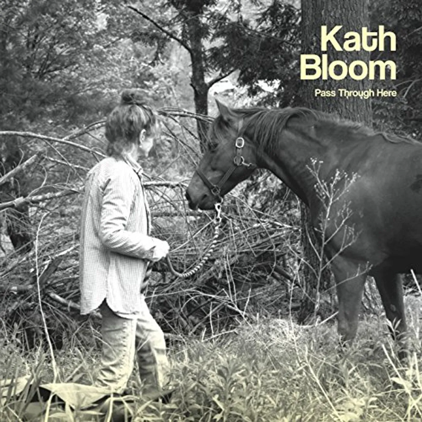 Kath Bloom PASS THROUGH HERE CD