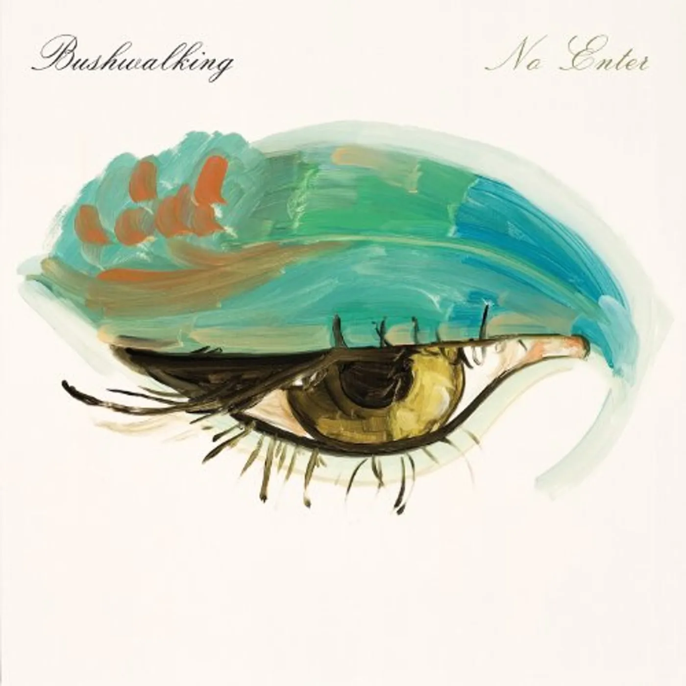 Bushwalking No Enter Vinyl Record